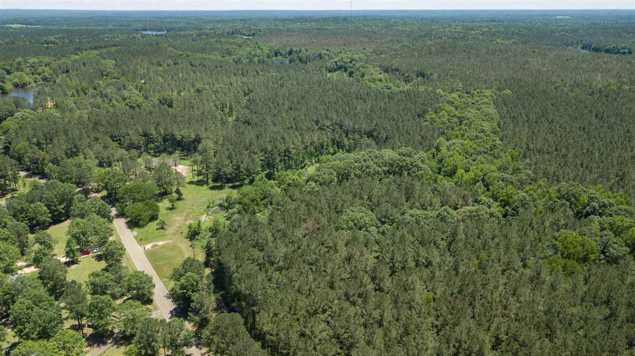 0 Spring Water Ranch Road Mendenhall, MS 39114 - Photo 9 of 30 Photo 9