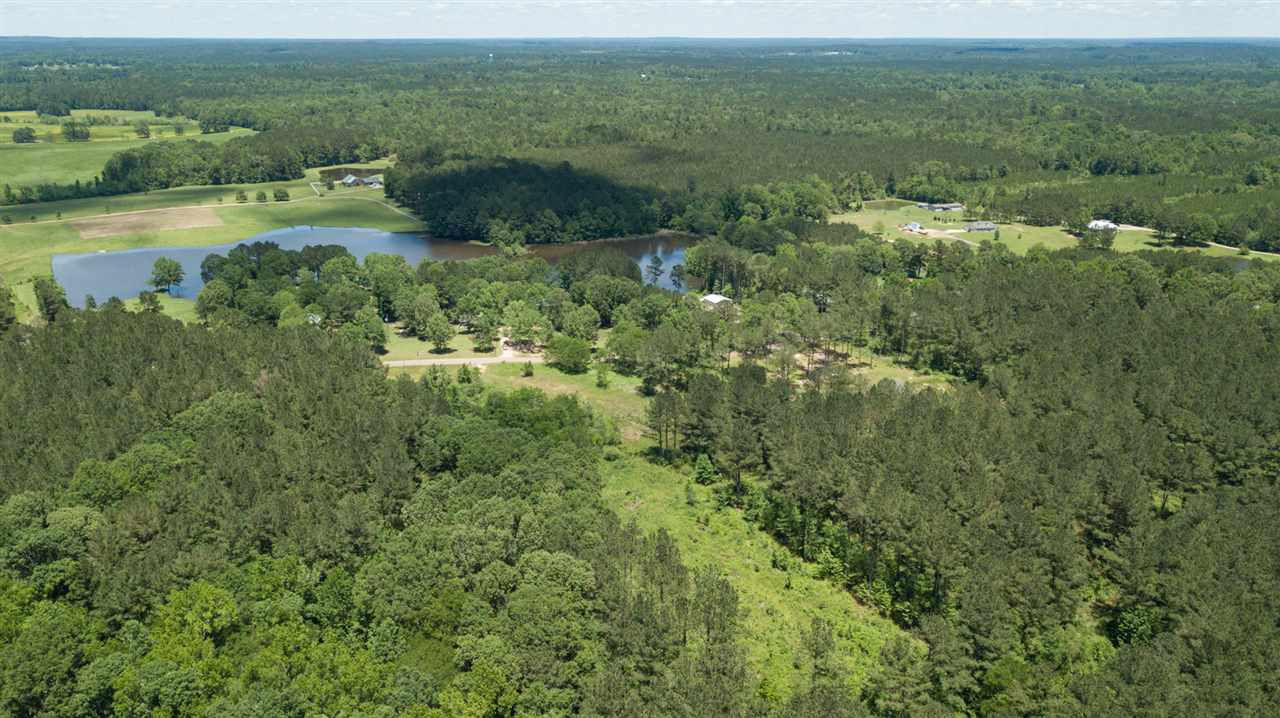 0 Spring Water Ranch Road Mendenhall, MS 39114 - Photo 10 of 30 Photo 10