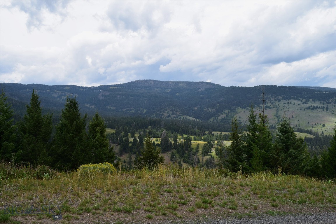 Tbd Packsaddle Road Emigrant, MT 59027 - Photo 1 of 1 Gallery Image 1