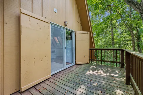 a view of a backyard with trees