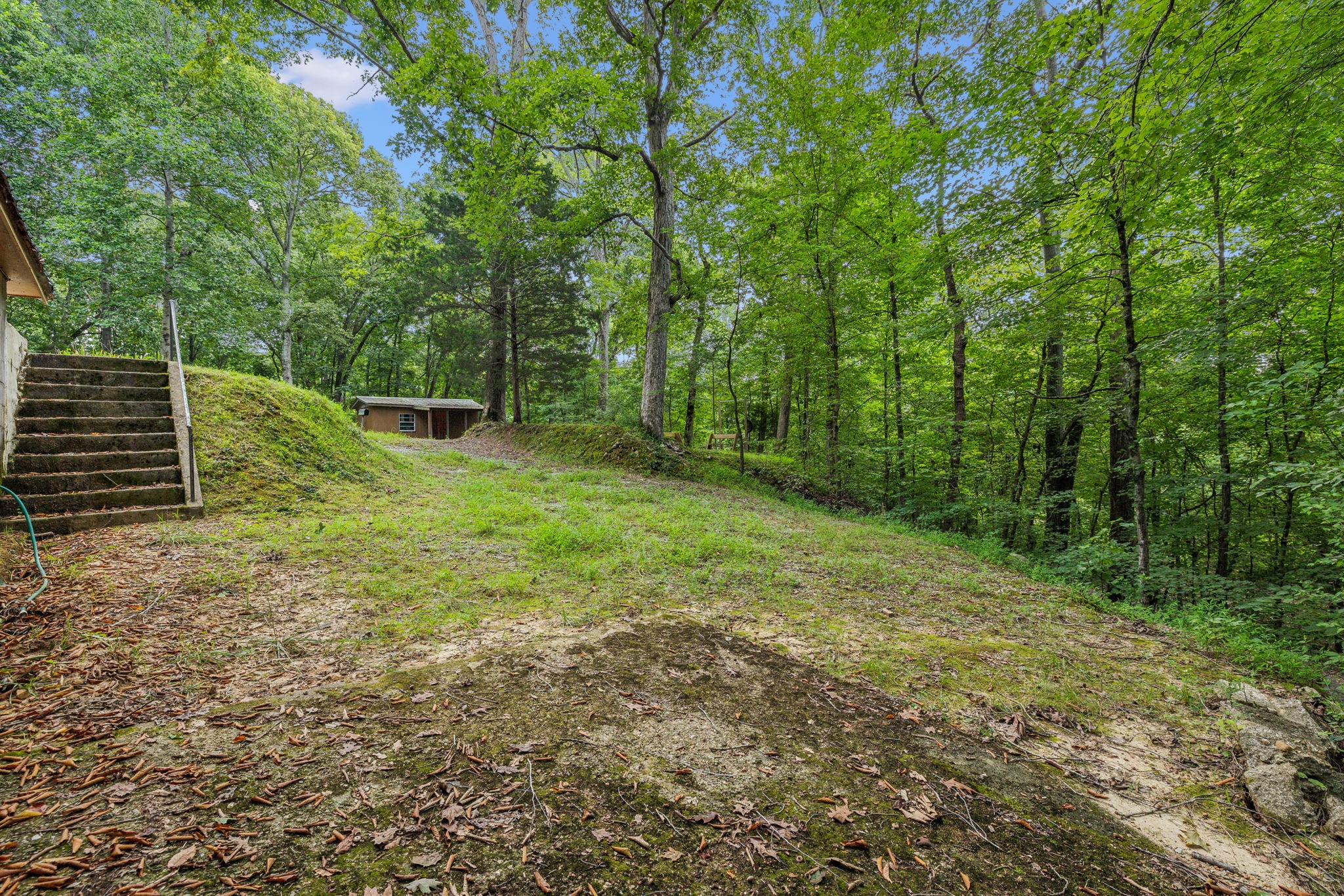 111 Mud Hill Road Dover, TN 37058 - Photo 40 of 62 a view of a backyard with trees