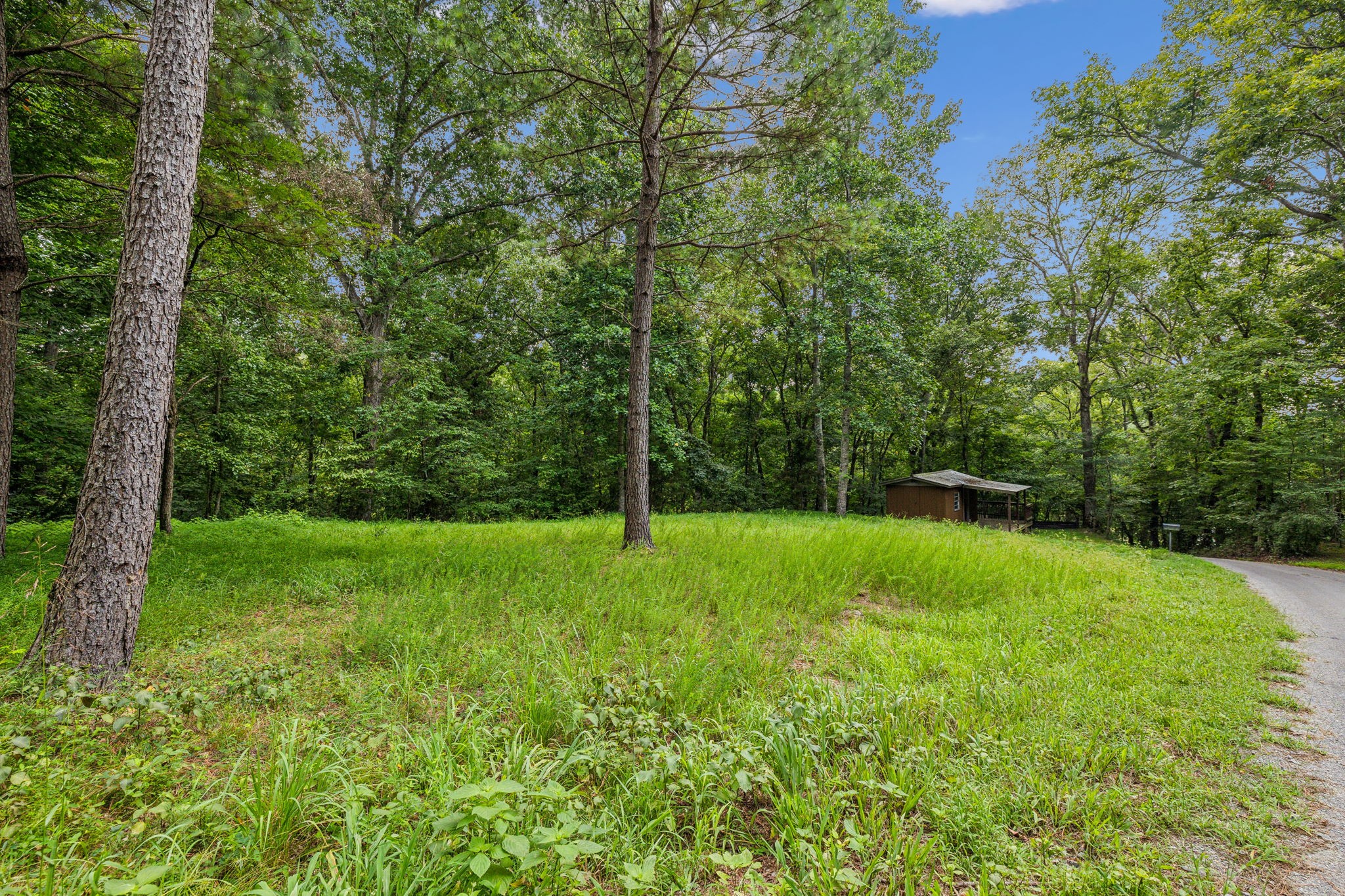 111 Mud Hill Road Dover, TN 37058 - Photo 42 of 62 a view of a lush green space