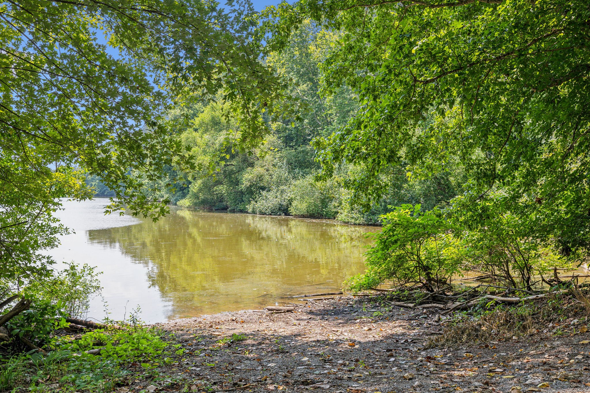 111 Mud Hill Road Dover, TN 37058 - Photo 45 of 62 a view of a lake from a yard