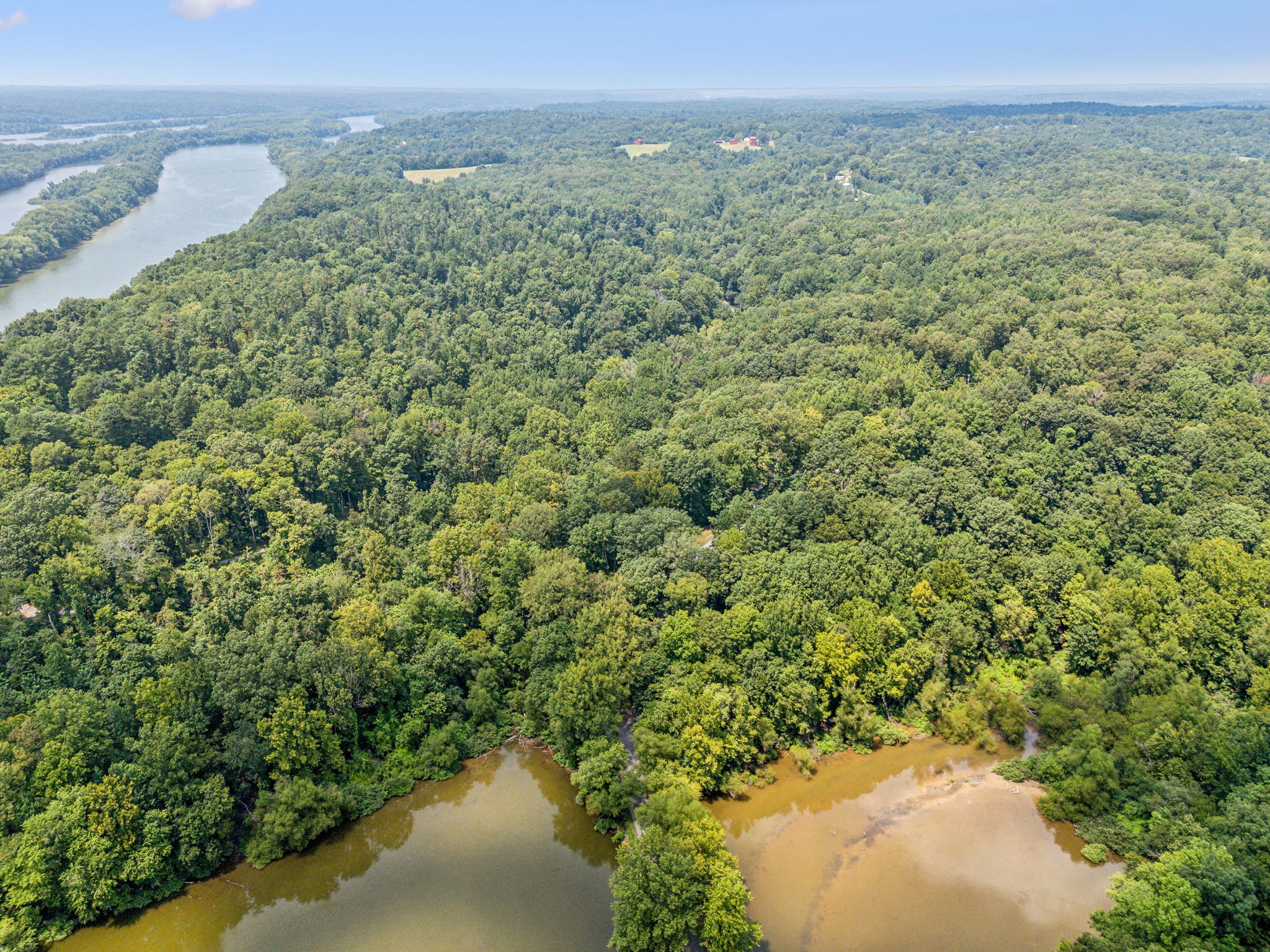 111 Mud Hill Road Dover, TN 37058 - Photo 50 of 62 a view of a green field with lots of bushes
