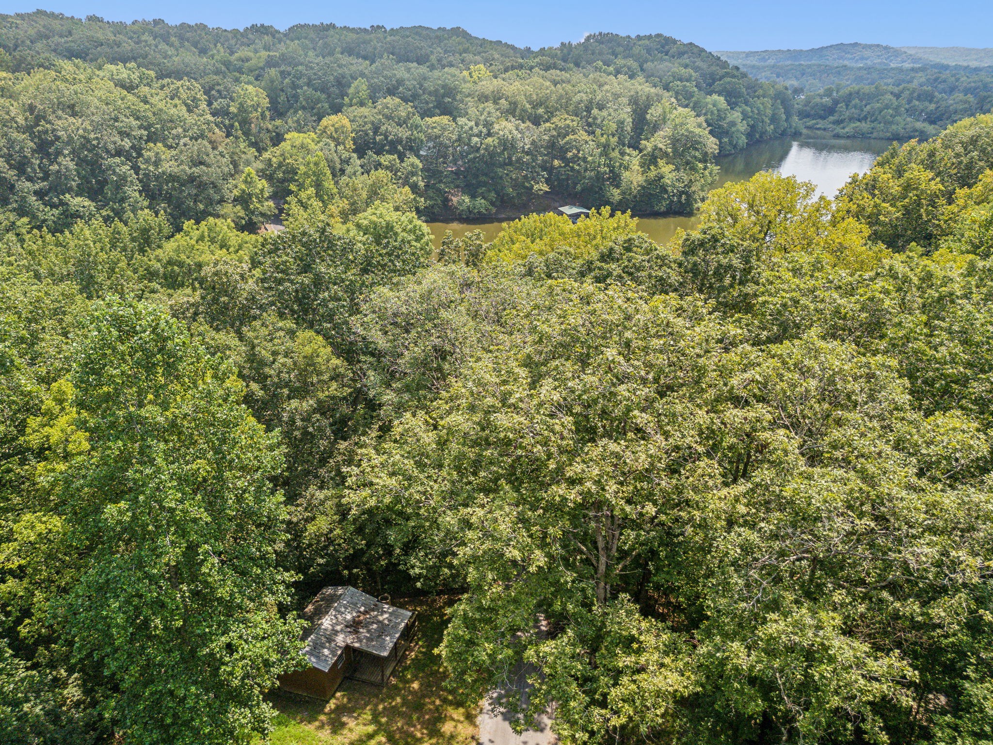 111 Mud Hill Road Dover, TN 37058 - Photo 57 of 62 a view of a forest with a mountain in the background