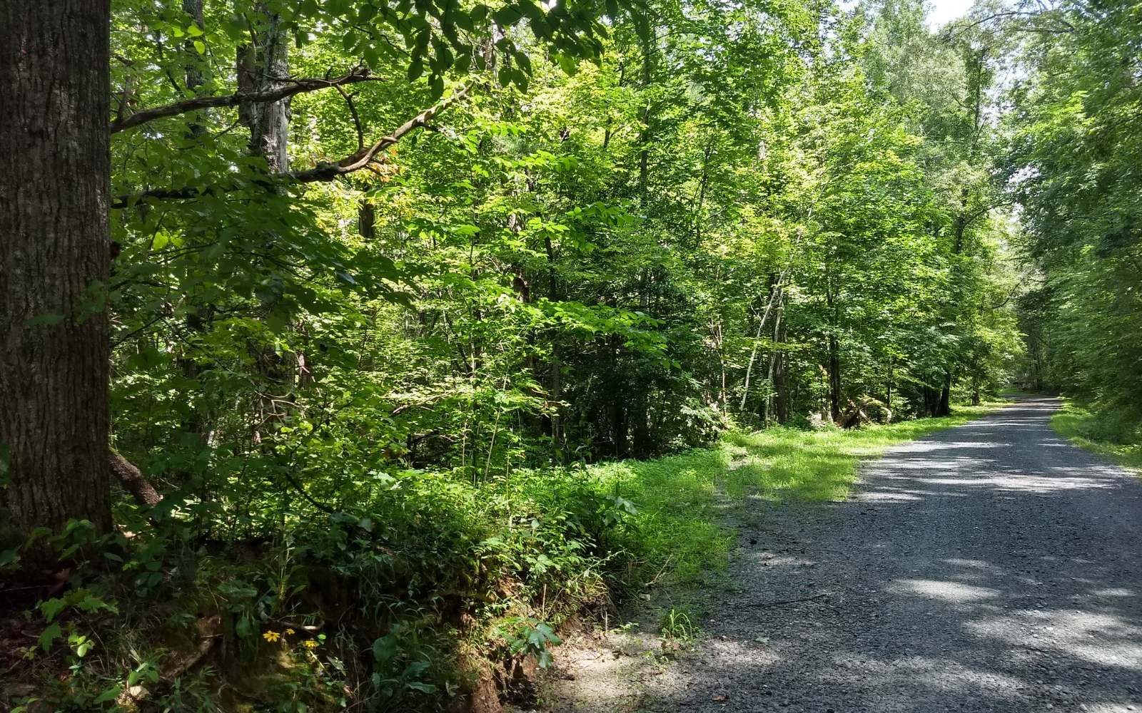 3.01 Doublehead Gap Road Ellijay, GA 30536 - Photo 1 of 1 Main View