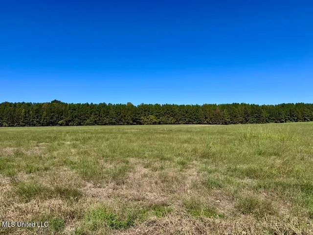 $92,500 | 1 Frank Hall Road, Bolton, MS 39041