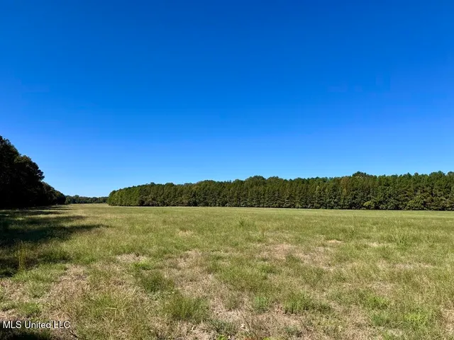 $92,500 | 1 Frank Hall Road, Bolton, MS 39041