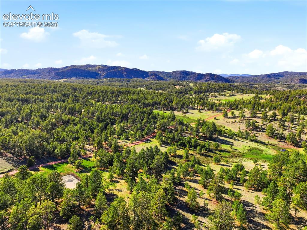 Doe Valley Road Guffey, CO 80820 - Photo 19 of 19 Expansive acreage featuring dense evergreen forests and open grassy meadows