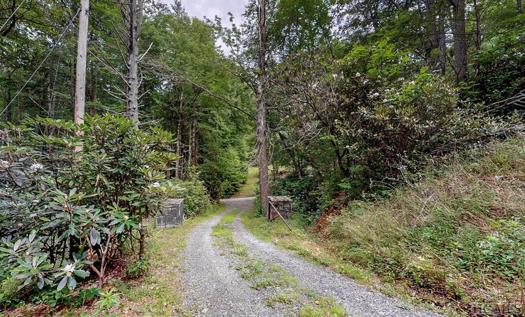 117 Cold Mountain Road Highlands, NC 28741 - Photo 3 of 15 Gallery Image 3