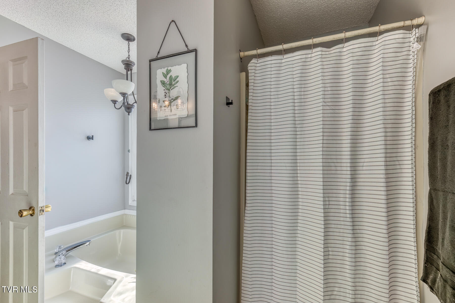 116 Cedar Street Johnson City, TN 37601 - Photo 18 of 47 116 Cedar St-18