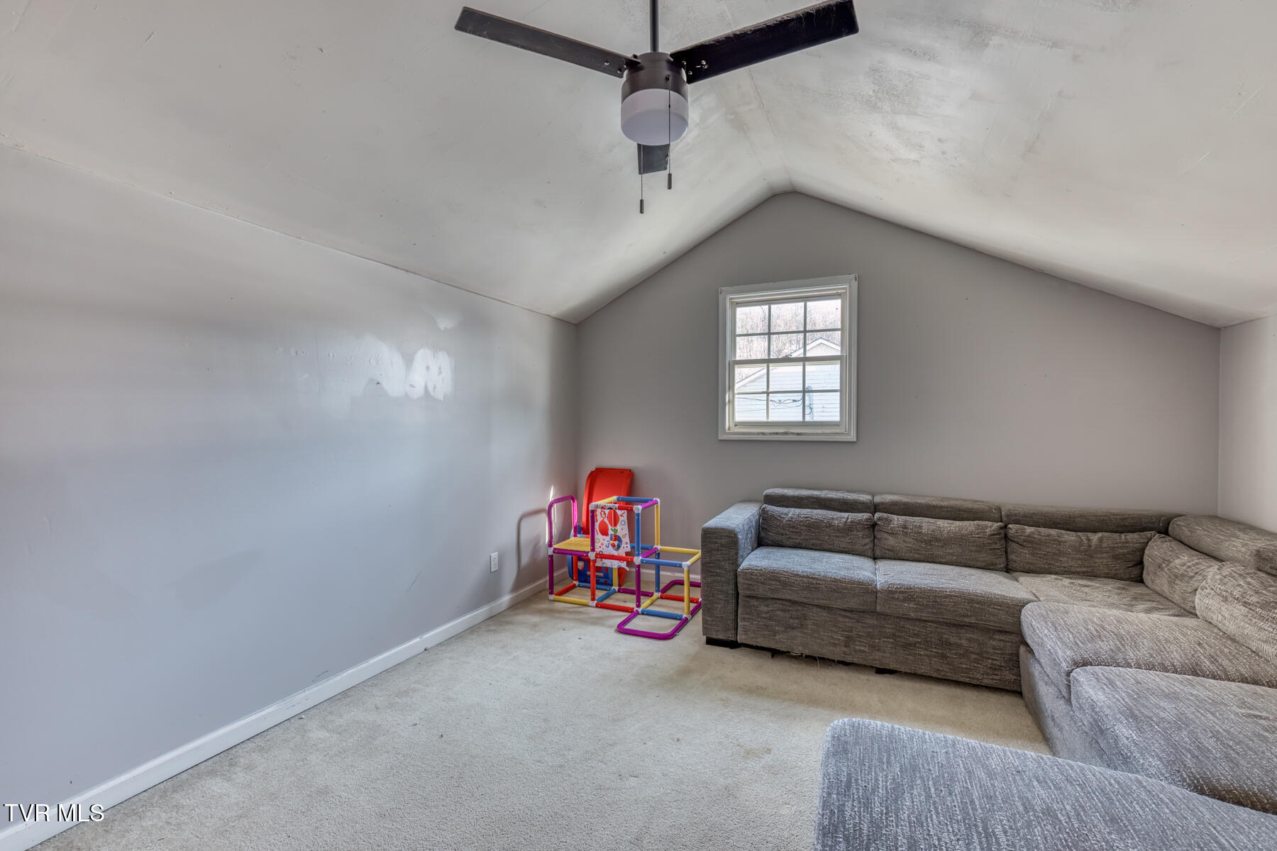 116 Cedar Street Johnson City, TN 37601 - Photo 24 of 47 116 Cedar St-24