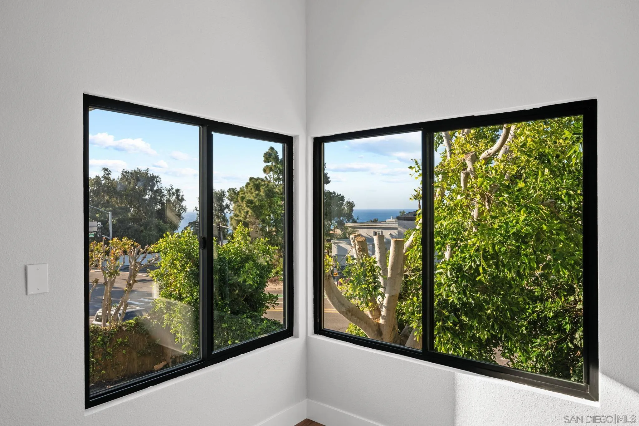 2029 Del Mar Heights Road Del Mar, CA 92014 - Photo 20 of 28