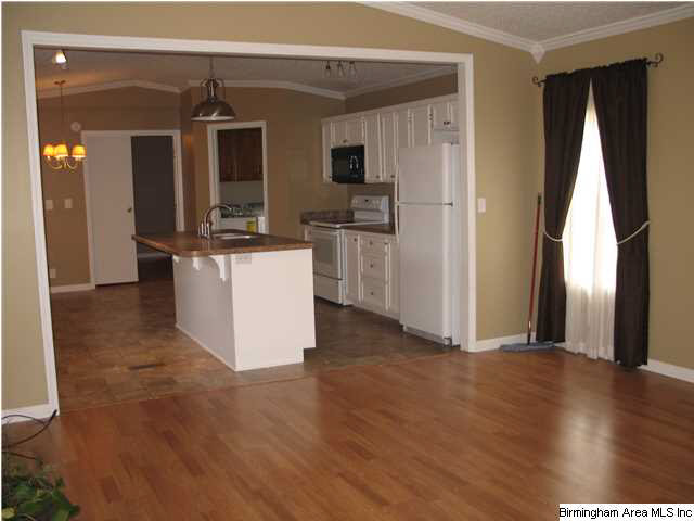 4276 Dry Creek Road Pell City, AL 35128 - Photo 3 of 20