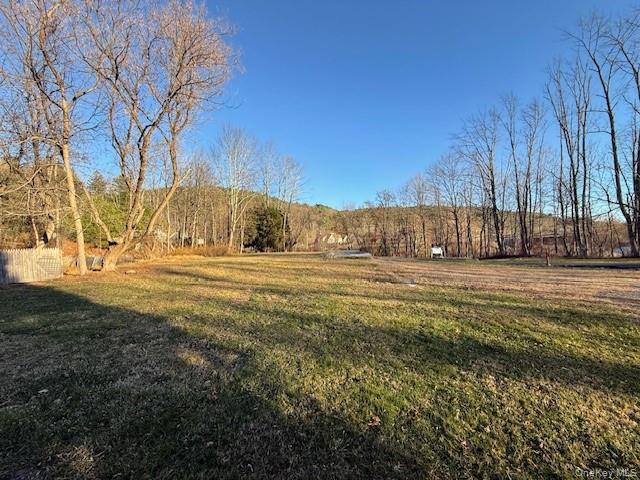 8 River Road Barryville, NY 12719 - Photo 12 of 12 a view of back yard