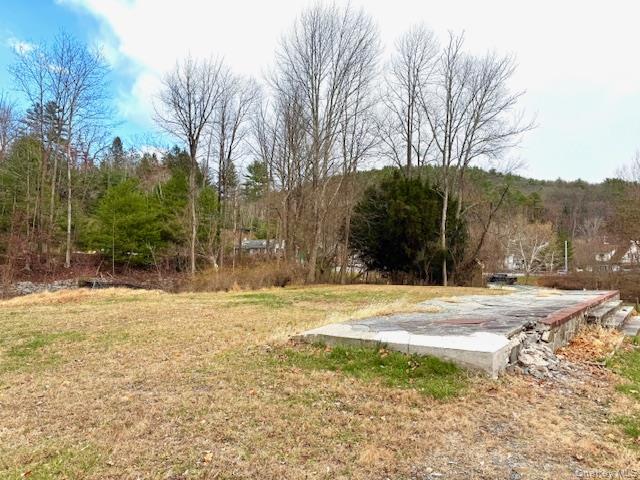 8 River Road Barryville, NY 12719 - Photo 5 of 12 a view of a yard with a house