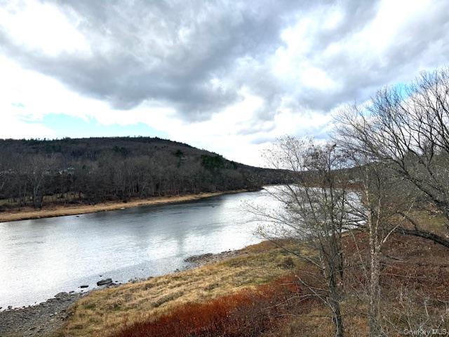 8 River Road Barryville, NY 12719 - Photo 8 of 12 a view of lake view and mountain