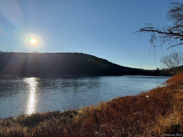 8 River Road Barryville, NY 12719 - Photo 10 of 12 a view of outside space and a yard