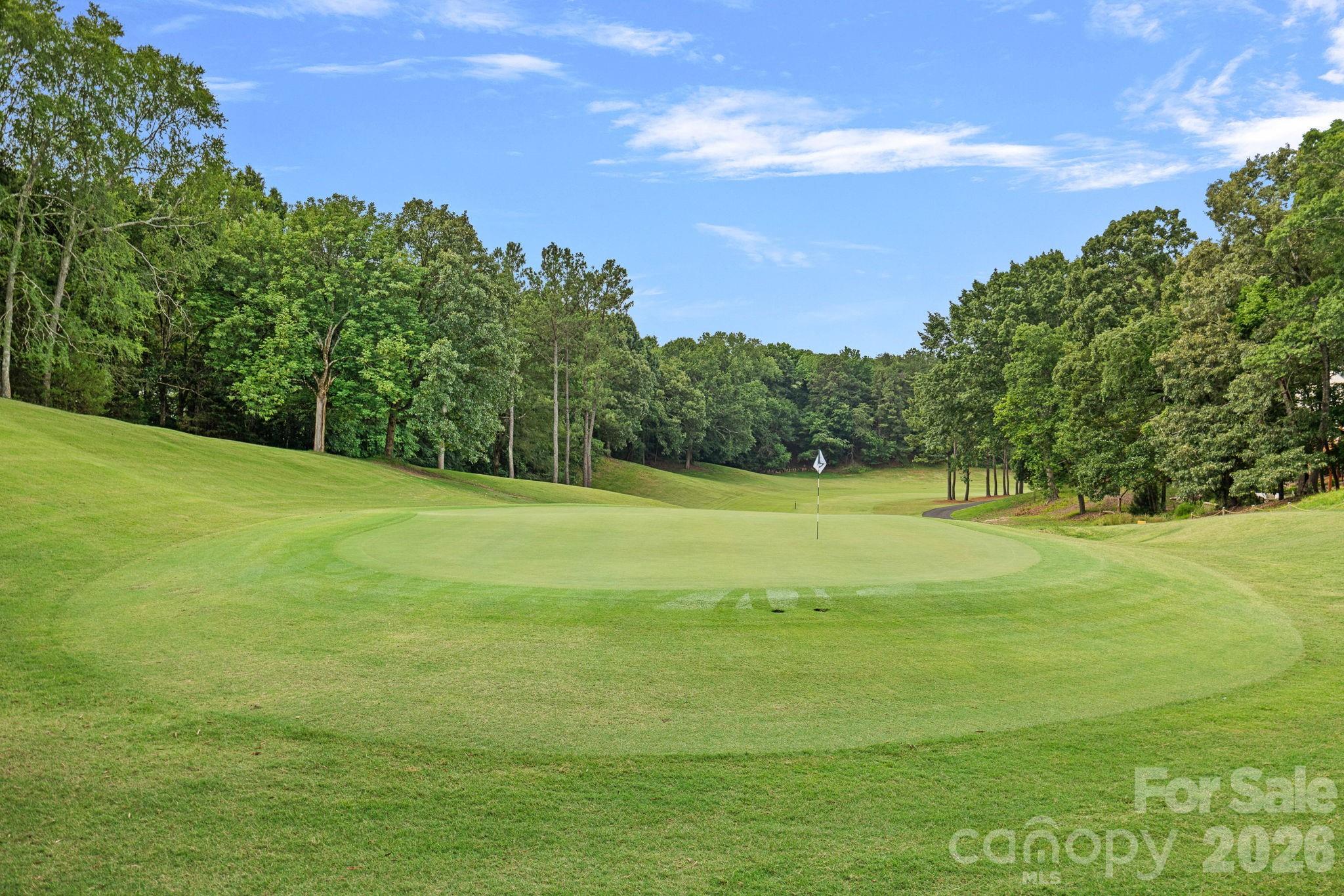 710 Fairway Point Drive Tega Cay, SC 29708 - Photo 44 of 48 Gallery Image 44