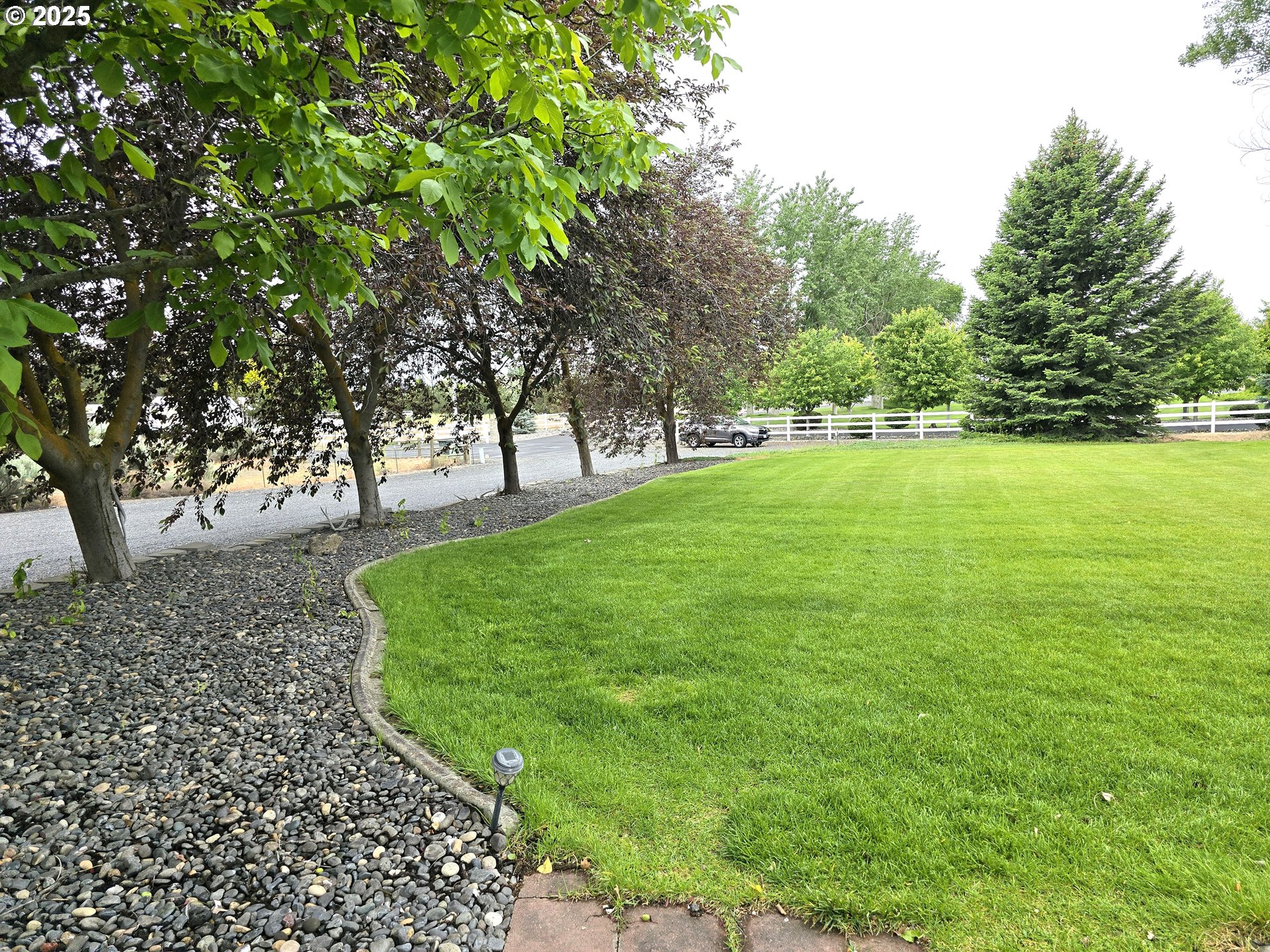 80393 Zimmer Lane Hermiston, OR 97838 - Photo 43 of 46 a view of a field with a tree