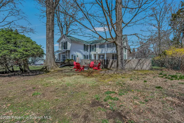 a view of backyard with potted plants and large tree