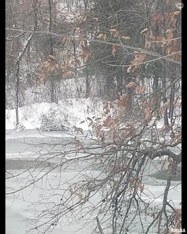 $380,000 | 208 Dewmaine Lane, Carterville, IL 62918