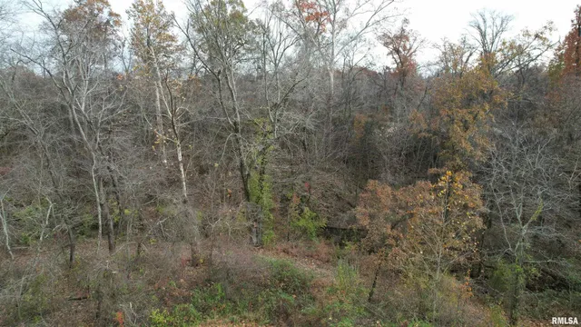 $380,000 | 208 Dewmaine Lane, Carterville, IL 62918