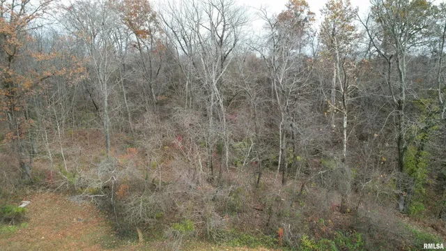 $380,000 | 208 Dewmaine Lane, Carterville, IL 62918