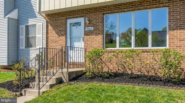 a view of a back yard with flower plants