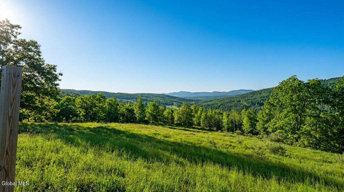 L10.10 Cheese Hill Road Preston Hollow, NY 12469 - Photo 15 of 56 10.10-Cheese-Hill-Rd-Rensselaerville-ext