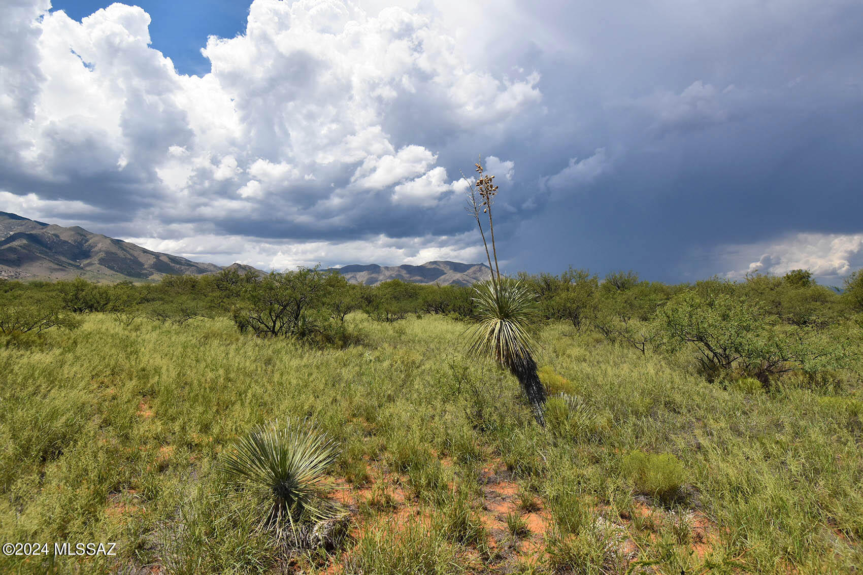 40-ac West Redhead Road Cochise, AZ 85606 - Photo 32 of 38 Gallery Image 32