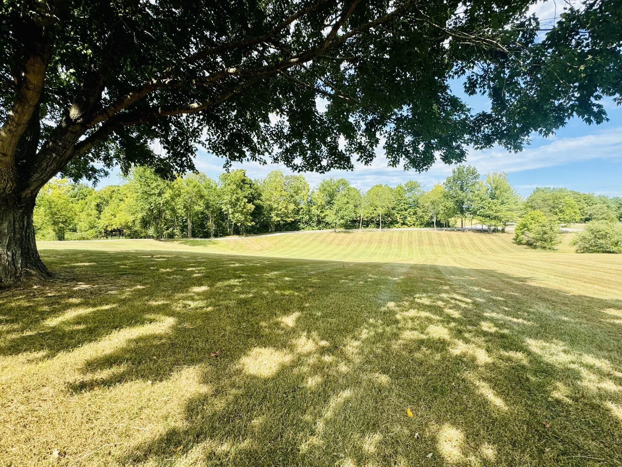 1175 Rock Church Road Dickson, TN 37055 - Photo 48 of 60 a view of yard with green space