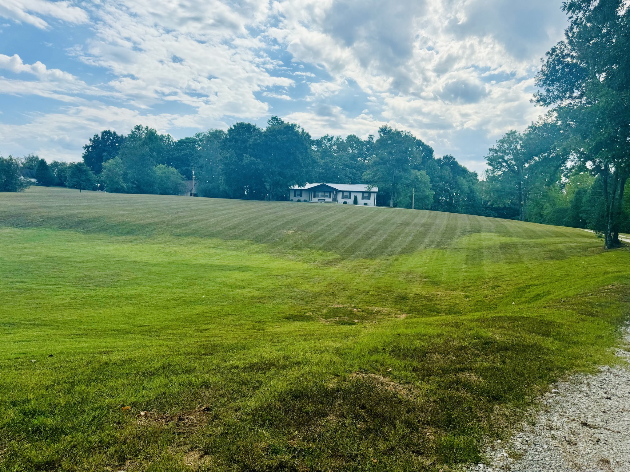 1175 Rock Church Road Dickson, TN 37055 - Photo 58 of 60 a view of a big yard with large trees