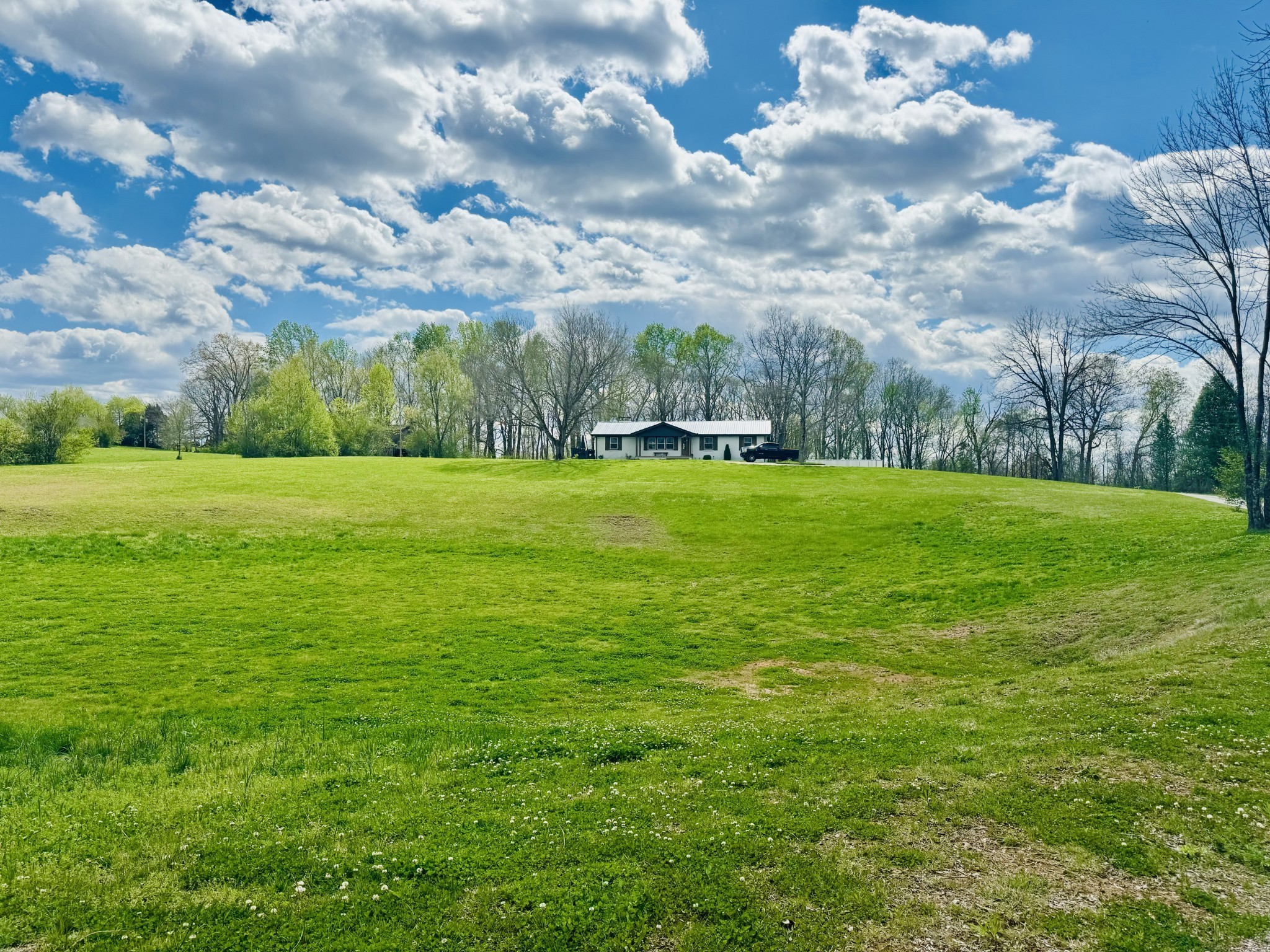 1175 Rock Church Road Dickson, TN 37055 - Photo 6 of 60 a view of a big yard with lots of green space