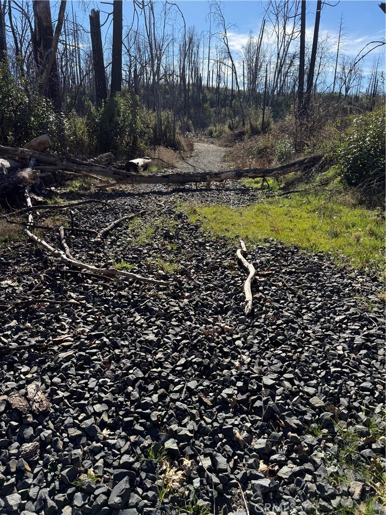 0 Inalane Berry Creek, CA 95916 - Photo 2 of 8 a view of a yard