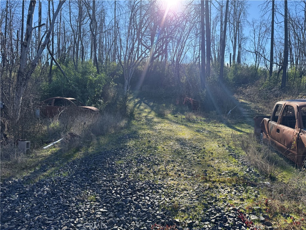0 Inalane Berry Creek, CA 95916 - Photo 3 of 8 a view of a backyard with plants and trees