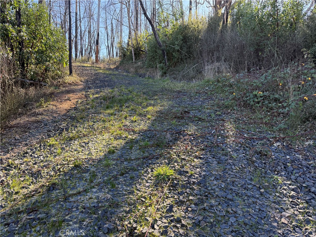 0 Inalane Berry Creek, CA 95916 - Photo 4 of 8 a view of backyard with green space
