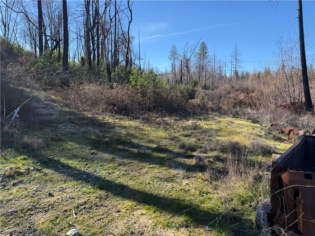 0 Inalane Berry Creek, CA 95916 - Photo 5 of 8 a view of a yard with large trees