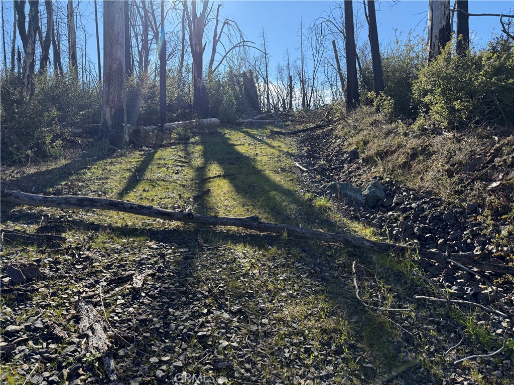 0 Inalane Berry Creek, CA 95916 - Photo 8 of 8 a view of yard