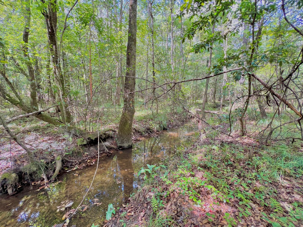 202-acres Columbus Holley Road Samson, AL 36477 - Photo 41 of 50