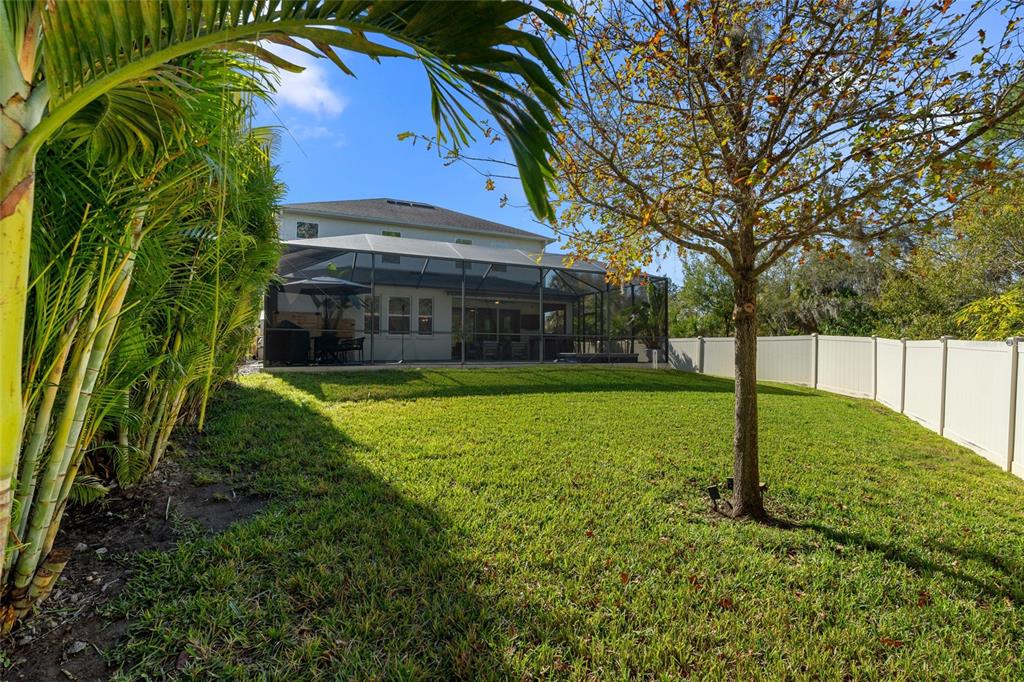 12123 Rustic River Way Tampa, FL 33635 - Photo 43 of 52