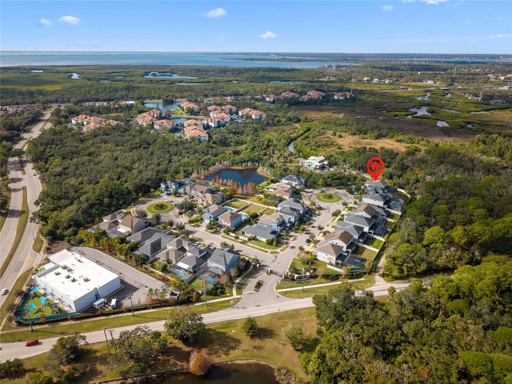 12123 Rustic River Way Tampa, FL 33635 - Photo 47 of 52