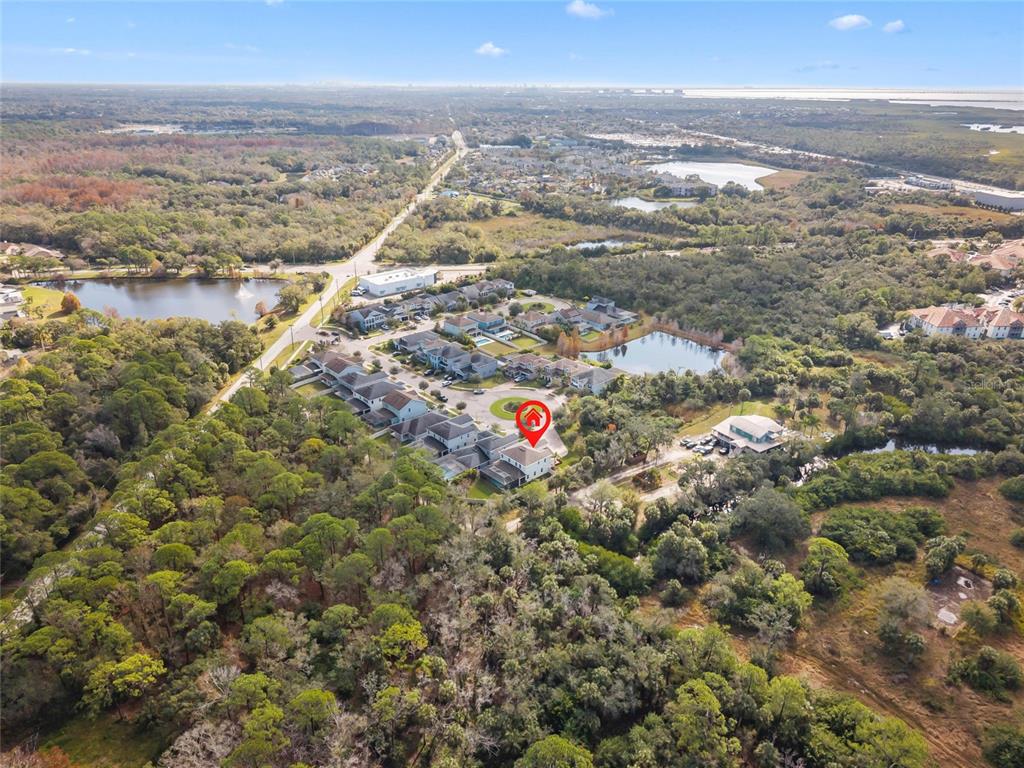 12123 Rustic River Way Tampa, FL 33635 - Photo 48 of 52