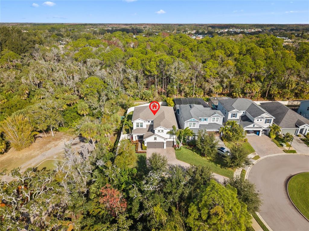 12123 Rustic River Way Tampa, FL 33635 - Photo 49 of 52