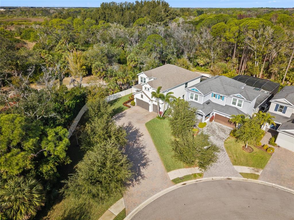 12123 Rustic River Way Tampa, FL 33635 - Photo 50 of 52