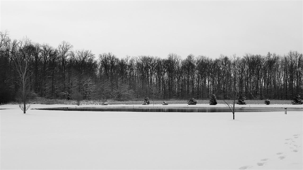 14525 Marion Center Road Hoagland, IN 46745 - Photo 24 of 24 Gallery Image 24