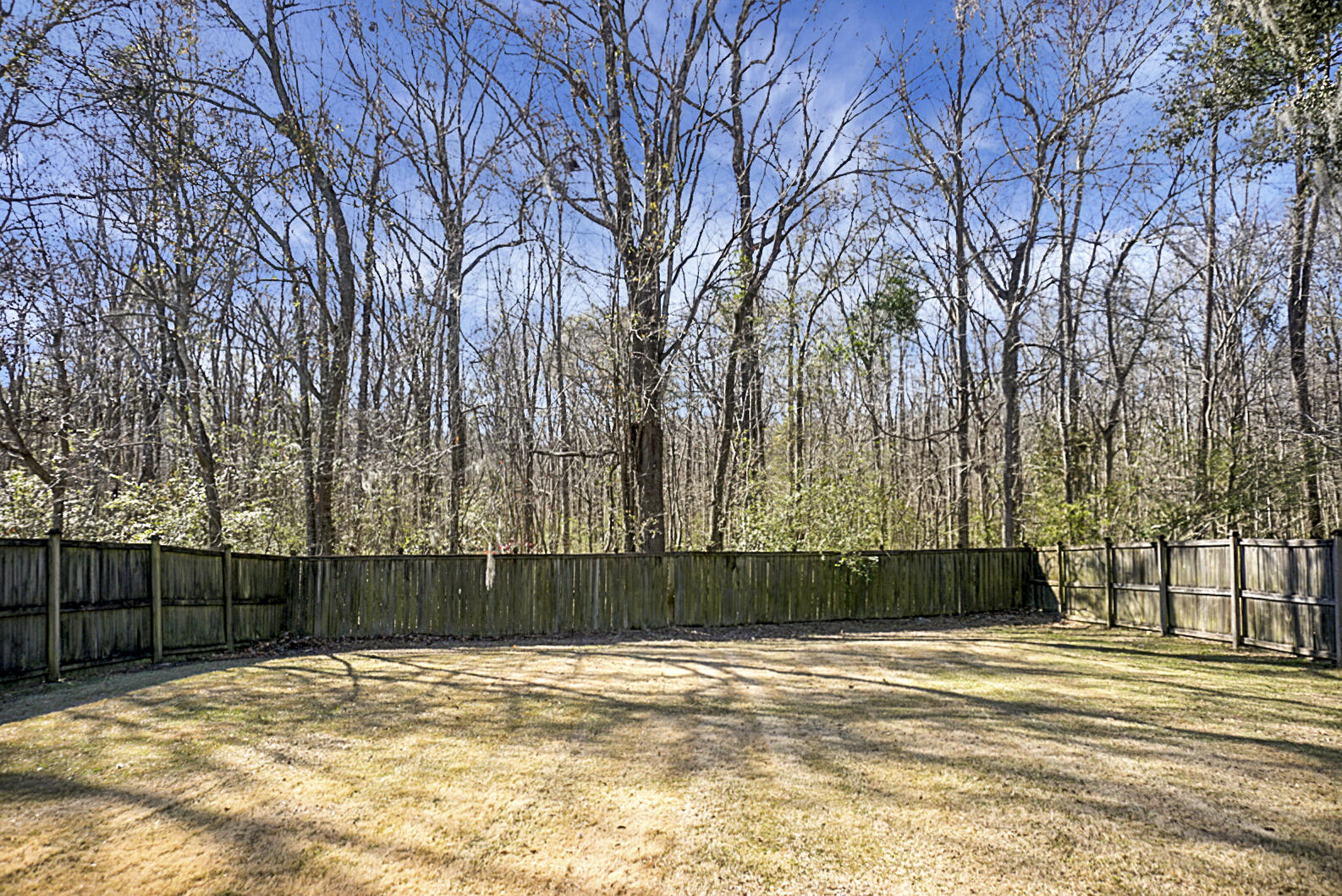 257 Border Road Goose Creek, SC 29445 - Photo 25 of 30 DSC09070