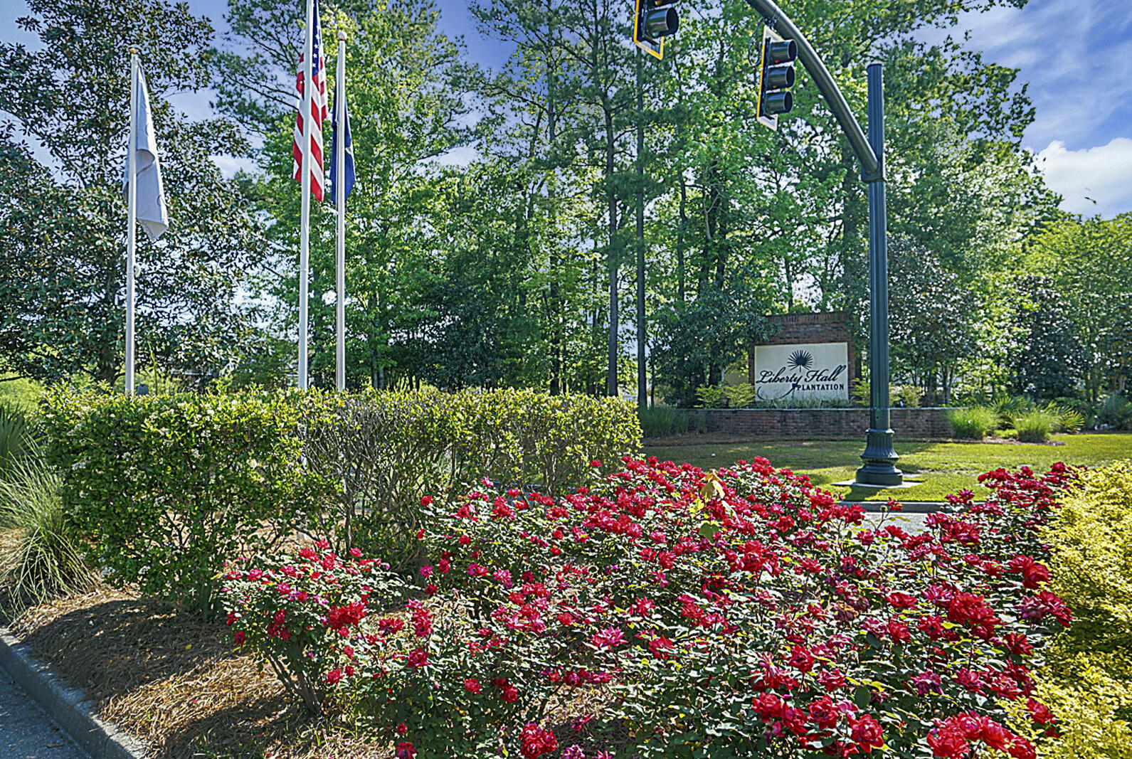 257 Border Road Goose Creek, SC 29445 - Photo 27 of 30 DSC03563