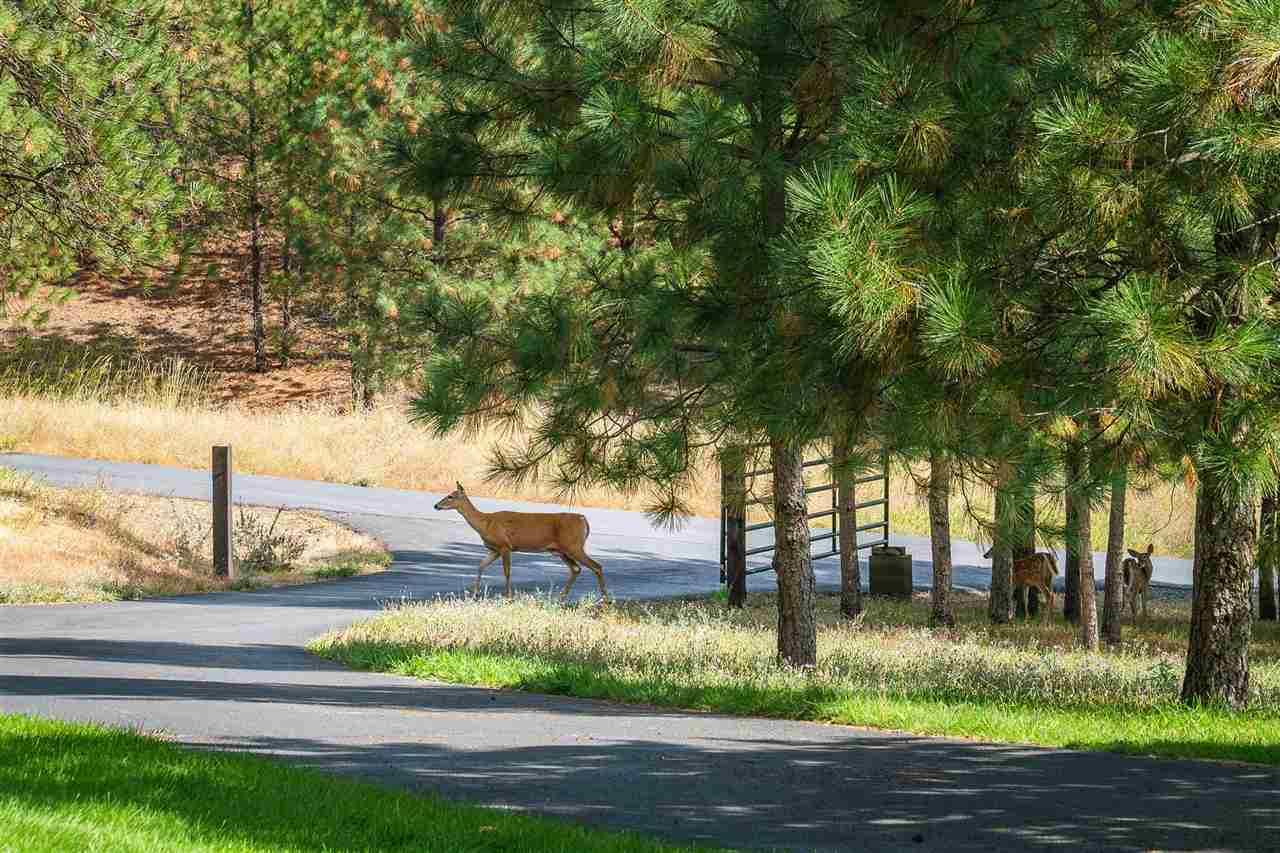 1816 West Stearns Road Spokane, WA 99208 - Photo 15 of 18