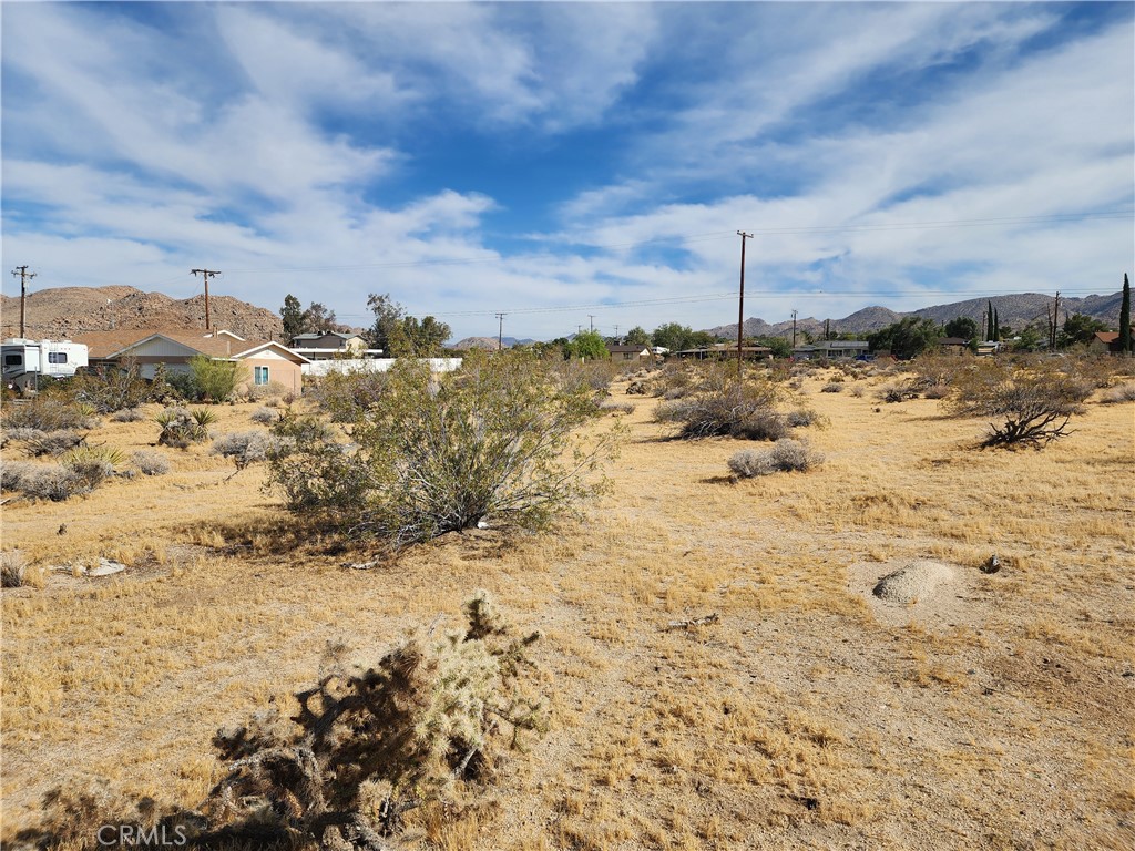 61665 Division Street Joshua Tree, CA 92252 - Photo 2 of 20
